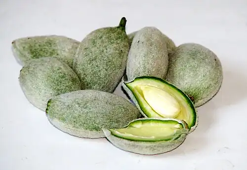Green almonds