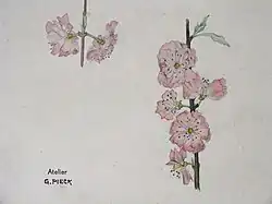 aquarel van bloemen, 1915
