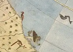 A griffin portrayed in a mythical land located south of the world's known continents, from Urbano Monti's map (1587).