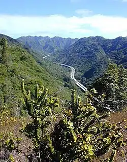 Interstate H-3 in Hālawa Valley looking towards the Koʻolau crest