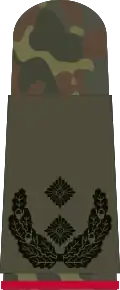 Oberstleutnant i.G. (Gen. staff service)