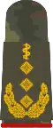 Generalober­stabsarzt (Human medicine)