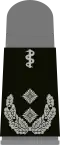 Oberfeldarzt (Army Medical Officer with the equivalent rank of Lieutenant Colonel)