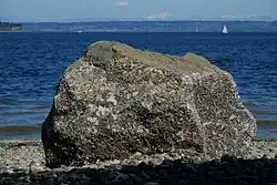 A boulder sits on a cobbled beach in bright sunlight with a stretch of blue water behind it. On the horizon are low forested hills. There is a snow covered volcano on the far distance. A few sailboats are in the water.