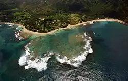 Aerial view of Halehomaha, 1997