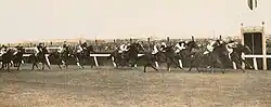 Hall Mark, 1933 Melbourne Cup finish