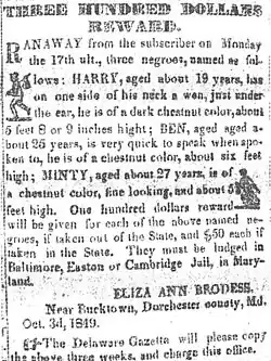 Printed text of reward notice