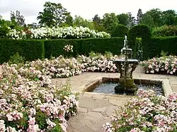 One of the rose gardens