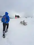Hiking on Goč mountain in winter