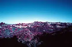 View of the Hollywood Hills. Kodak Infrared color slide film, no filter used and developed with E-6 process