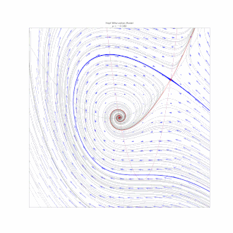 A detailed view of the homoclinic bifurcation.