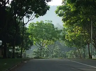 Hume Avenue overlooking Bukit Timah Hill