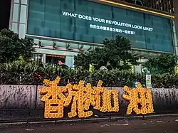 Protest message written using balloon modelling, August 2019