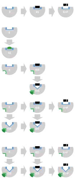 schematic diagram of the three types of reversible inhibitors