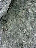 Etruscan inscription in the rock cleft