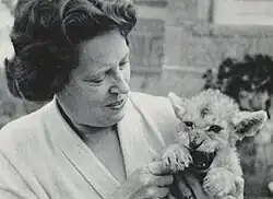 Irene Grindlay, who hand-reared Mara the Lioness with her husband Douglas on the Grindlay coffee plantations in Kenya, Africa (1965).
