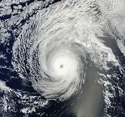 A photograph of a powerful hurricane over the Eastern Pacific Ocean