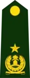 Brigadier General