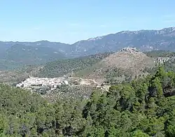 An overview of Cotillas.