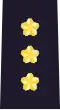 Lieutenant General