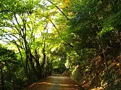 Kasugayama Primeval Forest