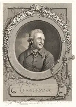 Engraving of Forster in a round frame surrounded by Forstera sedifolia plants