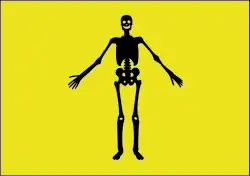 Described by privateer George Shelvocke as "a yellow field and black human skeleton."[62]