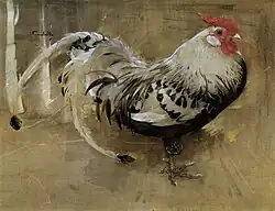 Spangled Cock, 1903