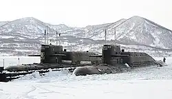 K-211 Petropavlovsk-Kamchatskiy and K-506 Zelenograd