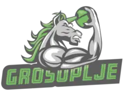 KK Grosuplje logo