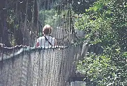 Kakum National Park – National Park.