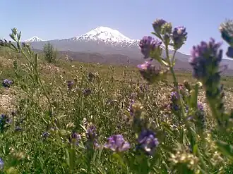 Mt. Ararat (Ağrı Dağı), from Bulakbaşı, Iğdır