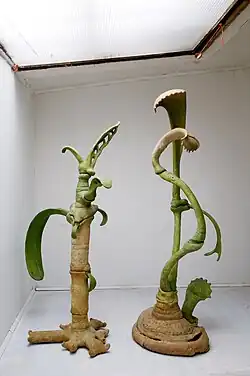 Botanical Zoological I, 1996-1997