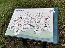 Wildlife of Kelsey Park