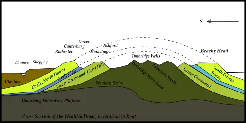 Cross-sectional diagram of eroded layers of geological anticline