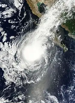 Satellite image of Tropical Storm Kevin on August 4