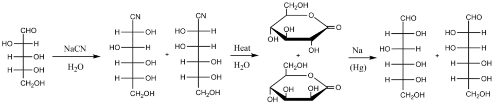 Kiliani-Fischer synthesis starting from D-arabinose, a five-carbon sugar, showing intermediates of each step and forming D-glucose and D-mannose, both six carbon sugars