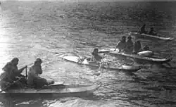 King Island residents in kayaks, about 1892. The kayaks are of the characteristic King Island style. Several carry more than one person or items on deck, and the paddlers are using single-blade paddles. Two-blade paddles were also used.