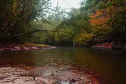 The Kisatchie Bayou.