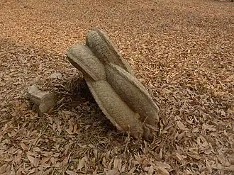 "Lost" crown of a Ming-era stele