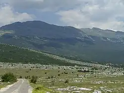 Road in the municipality