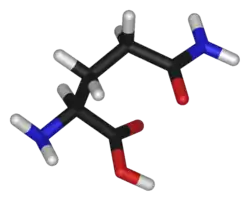 Chemical structure of the amino acid glutamine