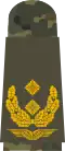 Generalmajor (field suit)