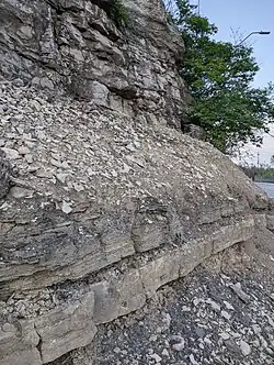 A typical Kansas City cyclothem. Lowest to highest: Ladore Shale, Middle Creek Limestone (shorter divided ledge), Hushpuckney Shale, Bethany Falls Limestone (upper cliff). Swope Formation, Lower Bronson Subgroup, Kansas City Group, Missourian Series, Pennsylvanian System (late Carboniferous, ca. 318-299 million years ago).