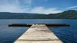 View of Lake Calafquén