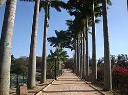 Lalbagh Lake pathway