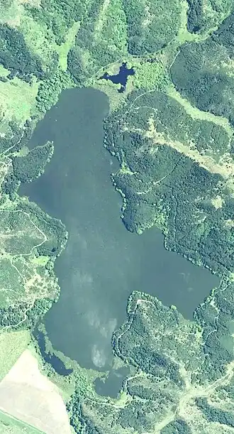Satellite image of a lake surrounded by forest