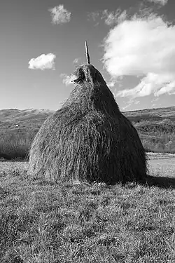 Haystacks