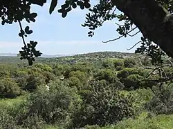 General landscape of the Adullam-France Park