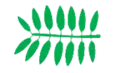 even pinnate
